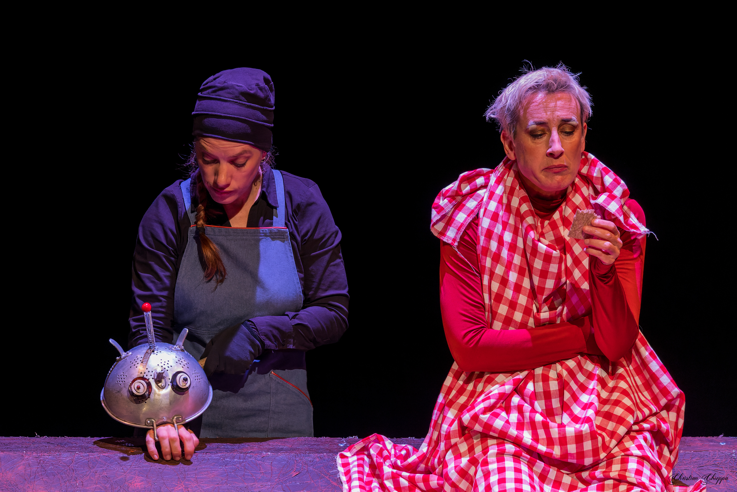 Spectacle Dispositif foret