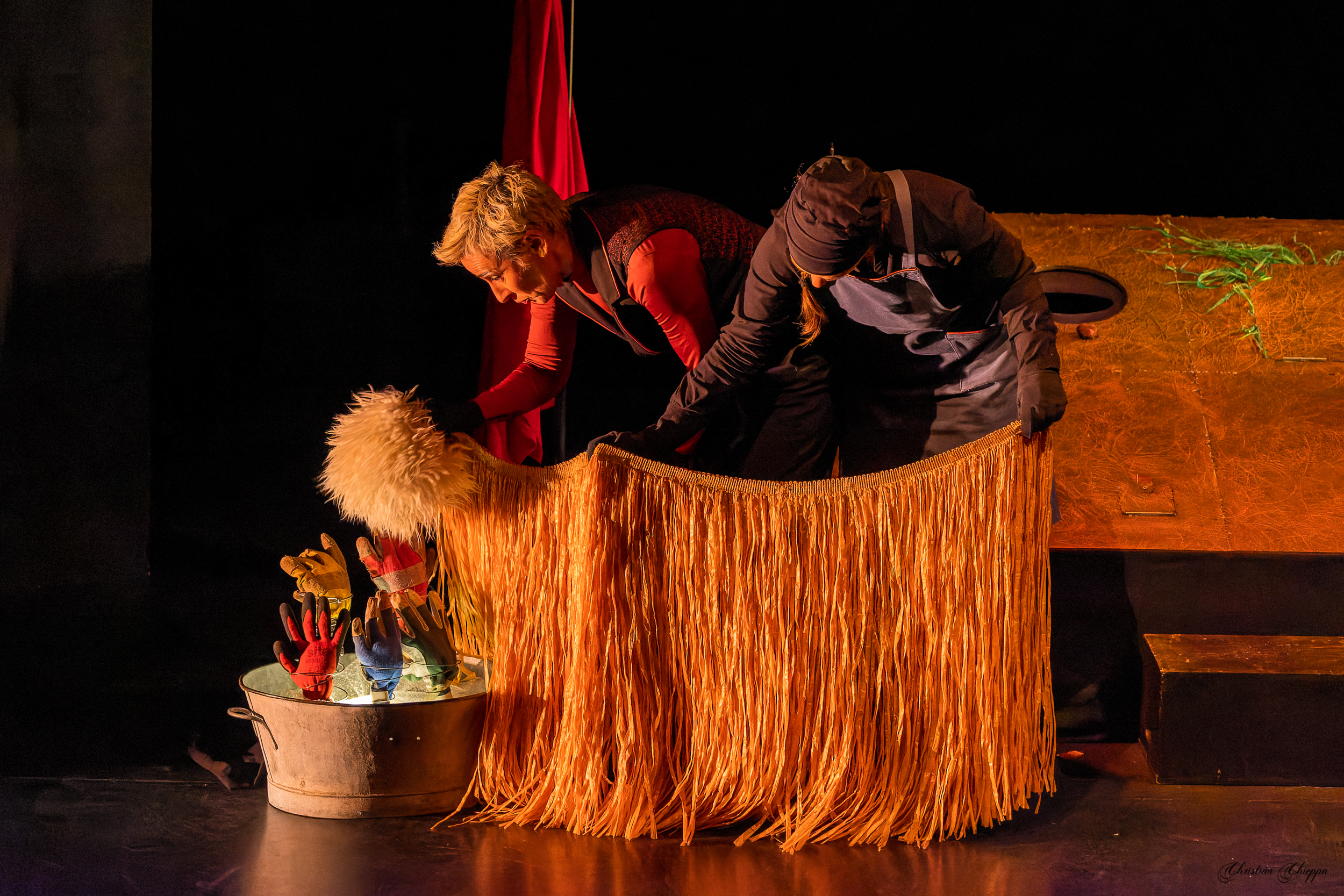Spectacle Dispositif foret