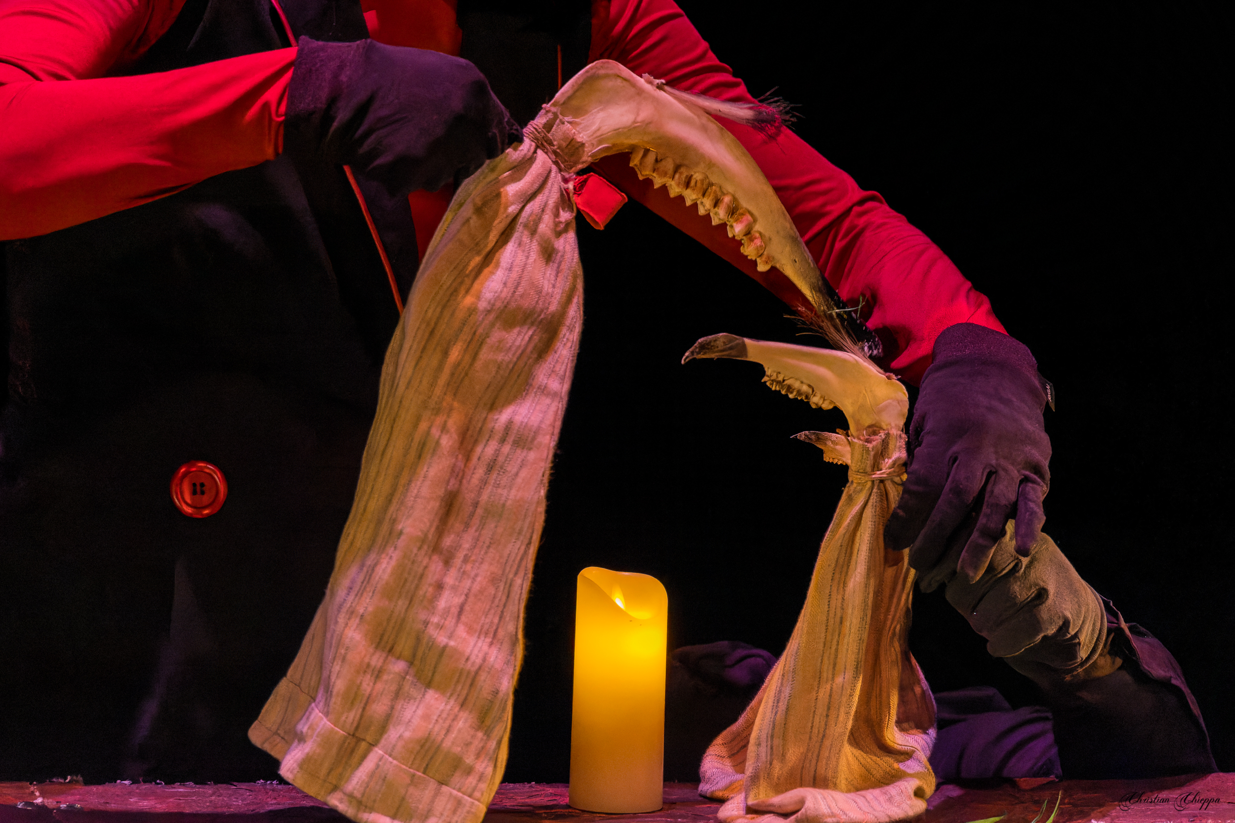 Spectacle Dispositif foret
