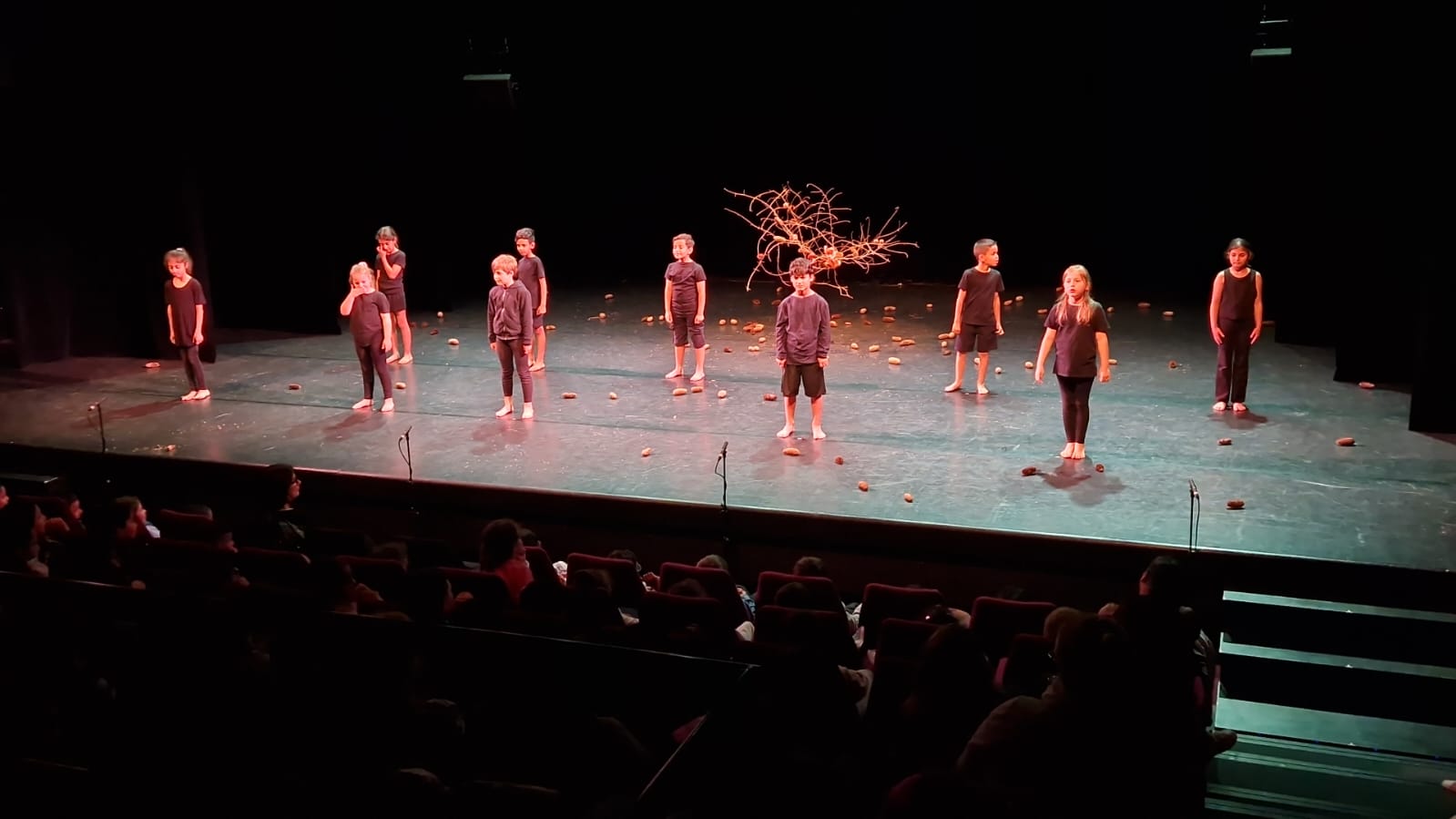 spectacle scolaires