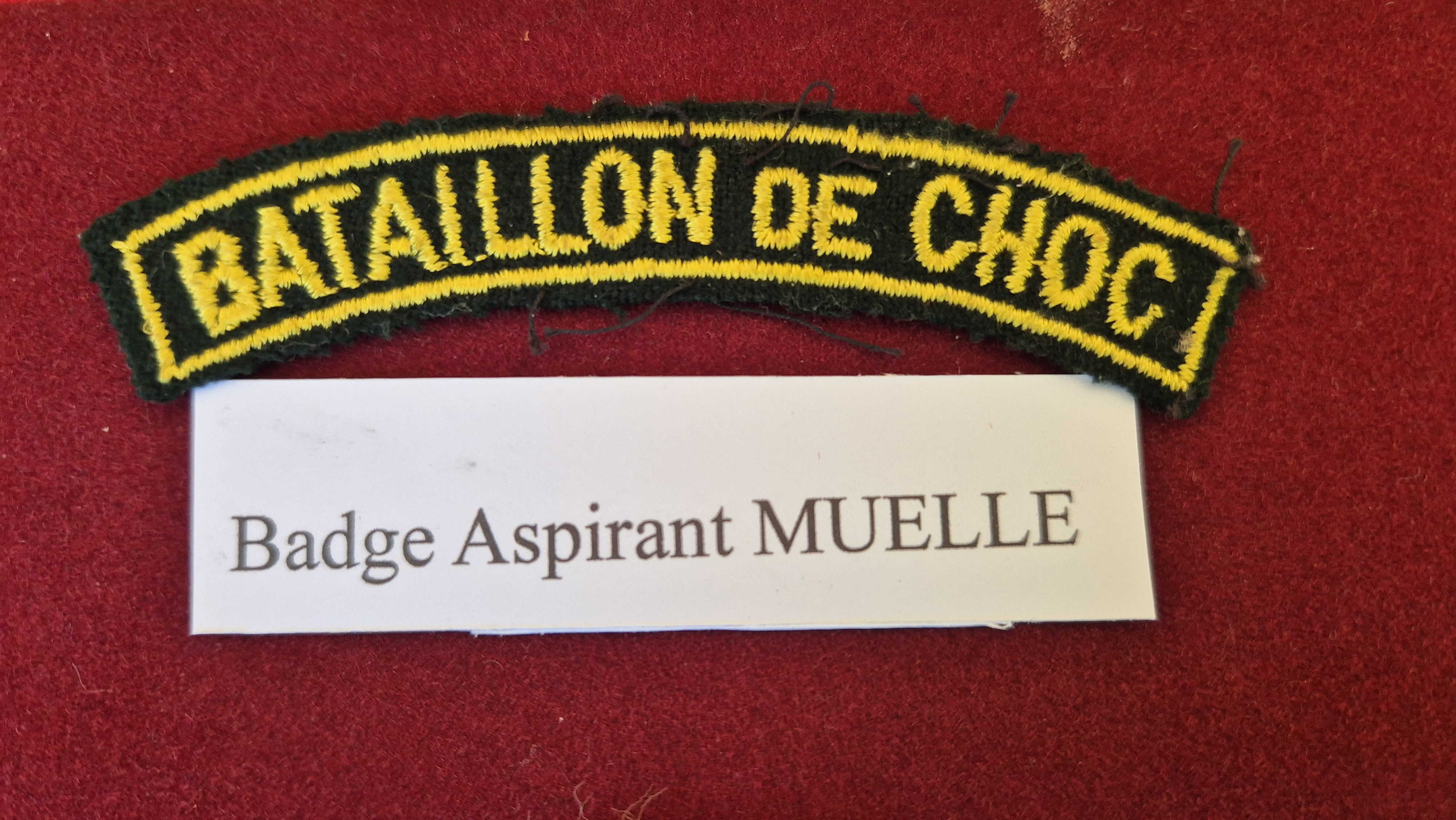 Badge Raymond Muelle