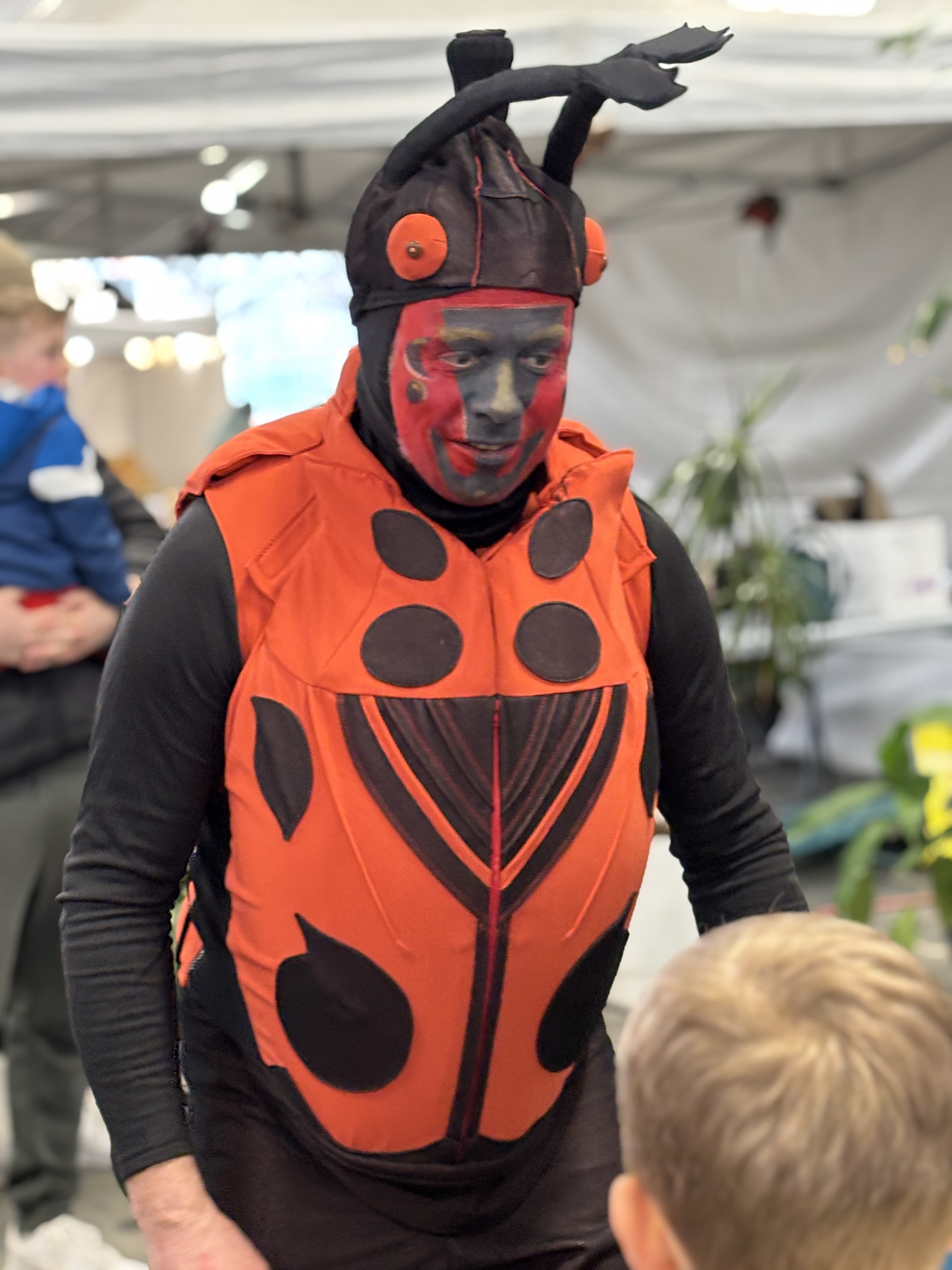 coccinelle géante