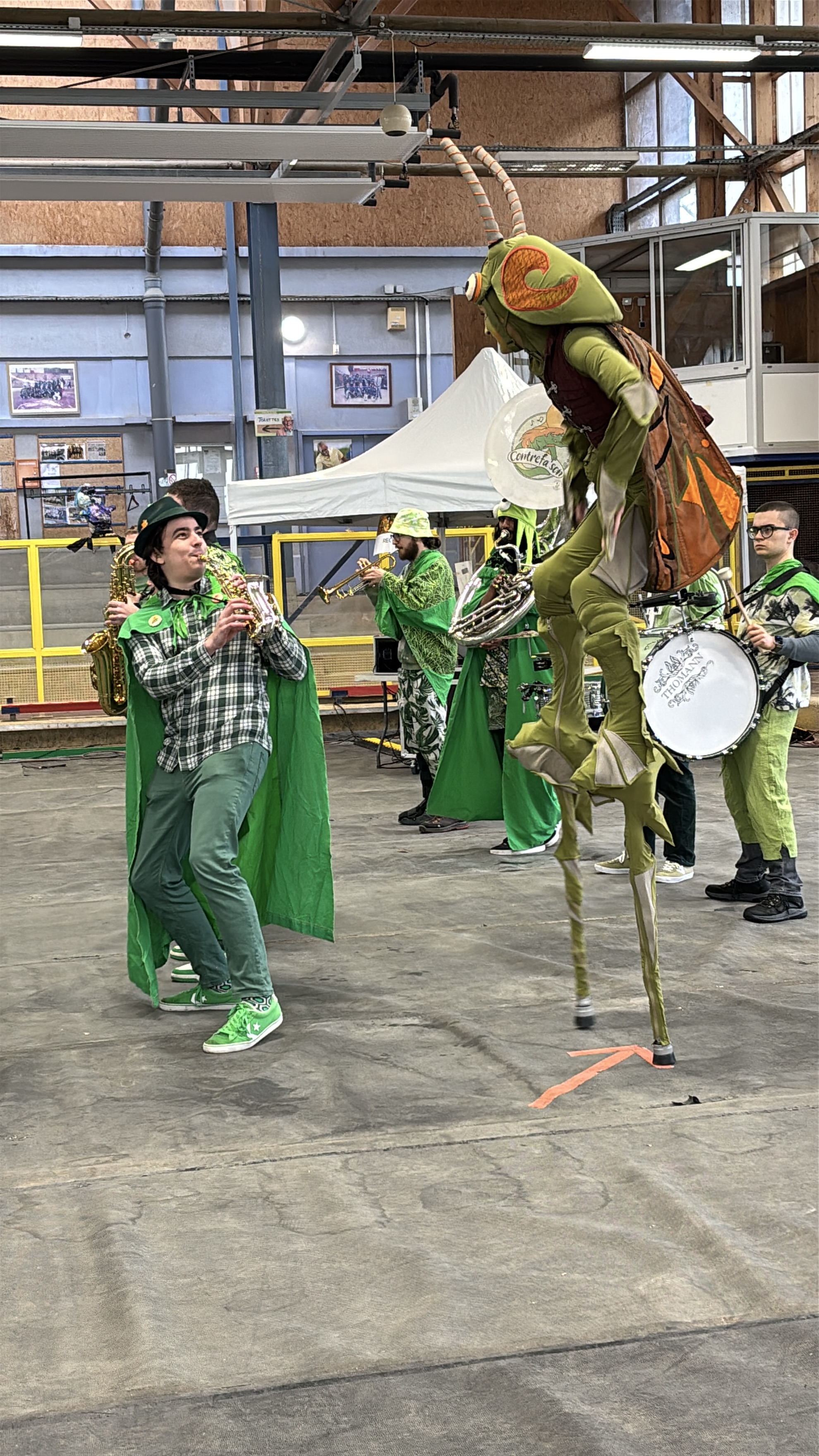 insectes et fanfare