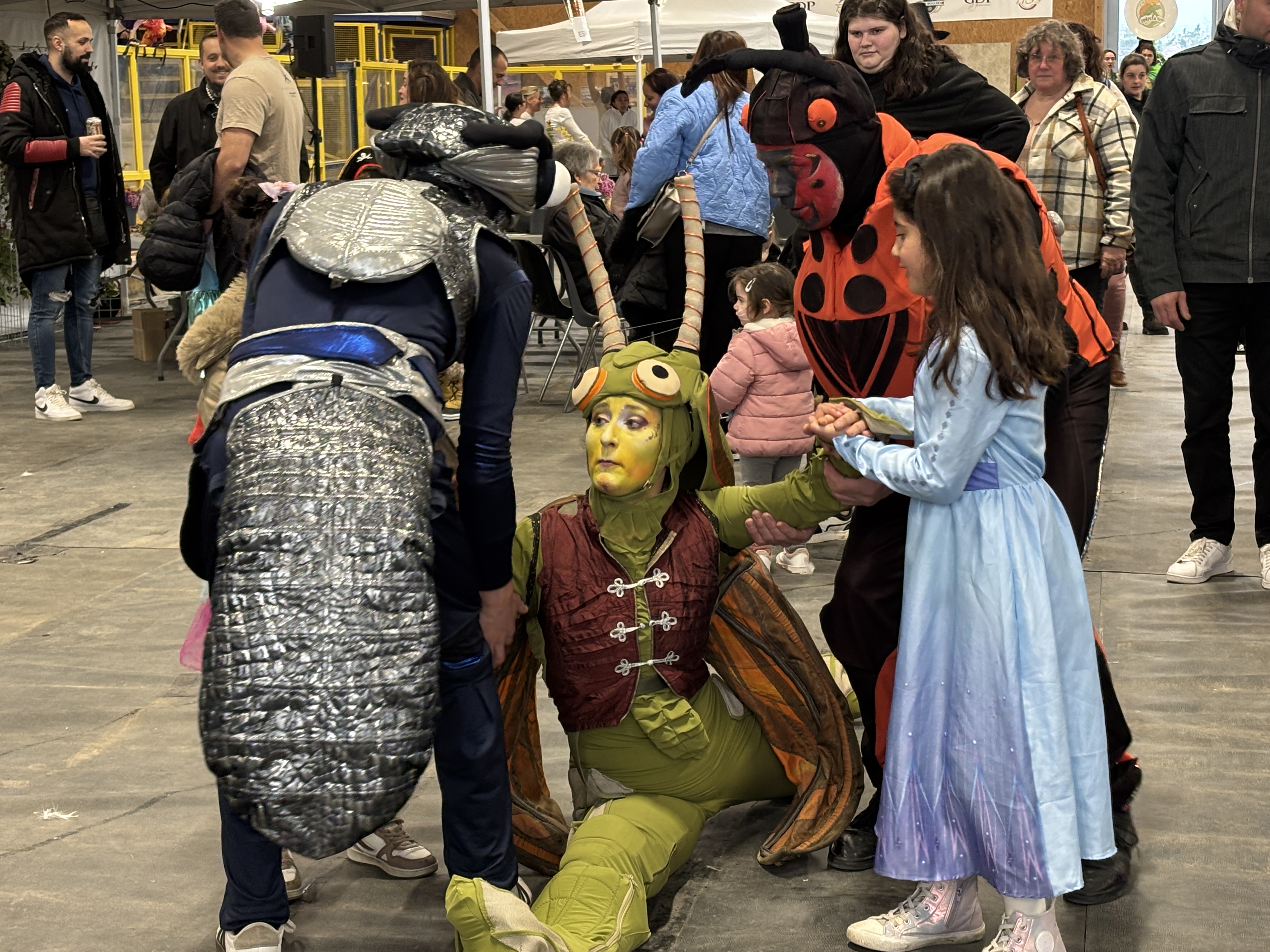 insectes et princesses