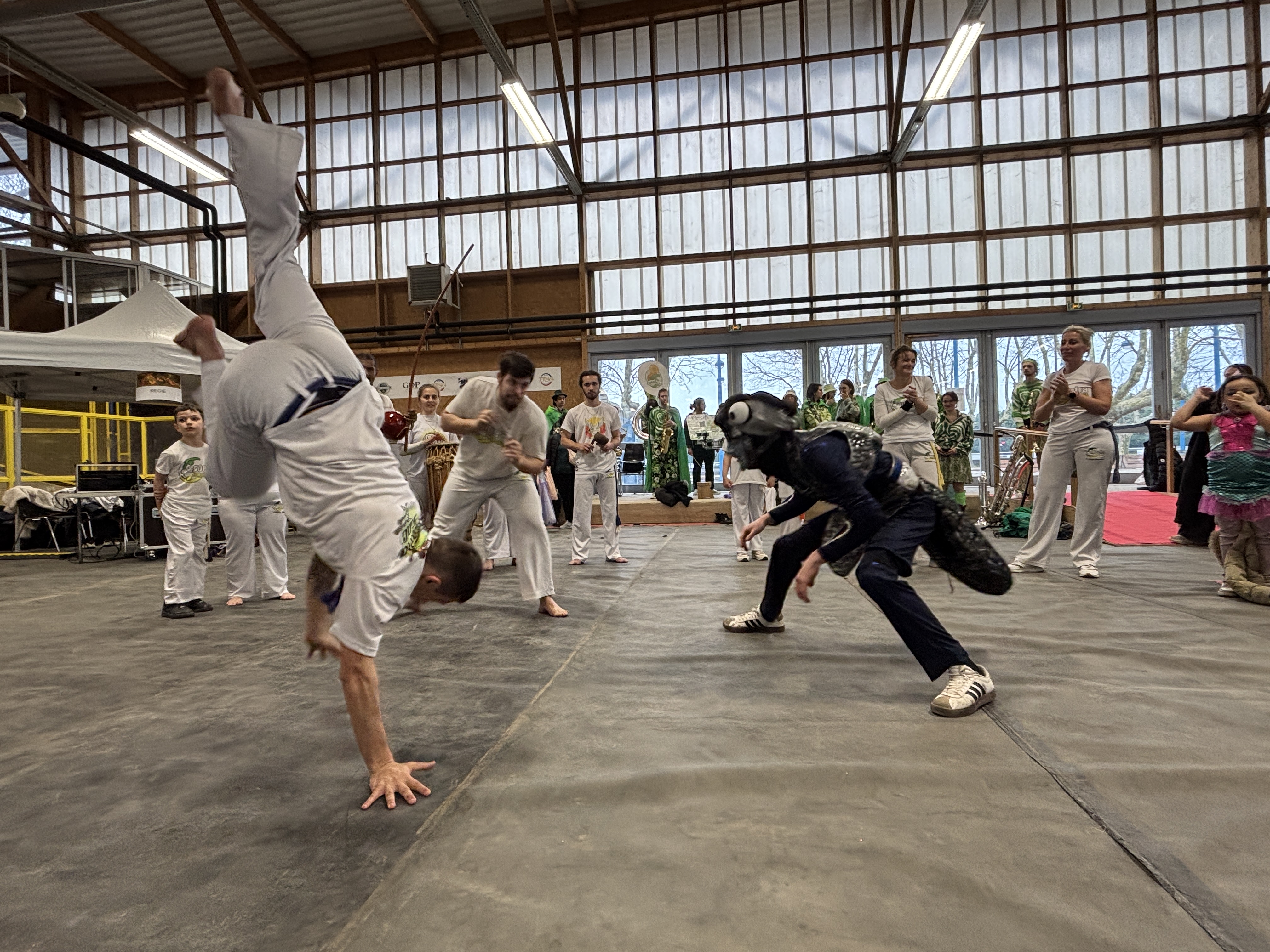 capoeira