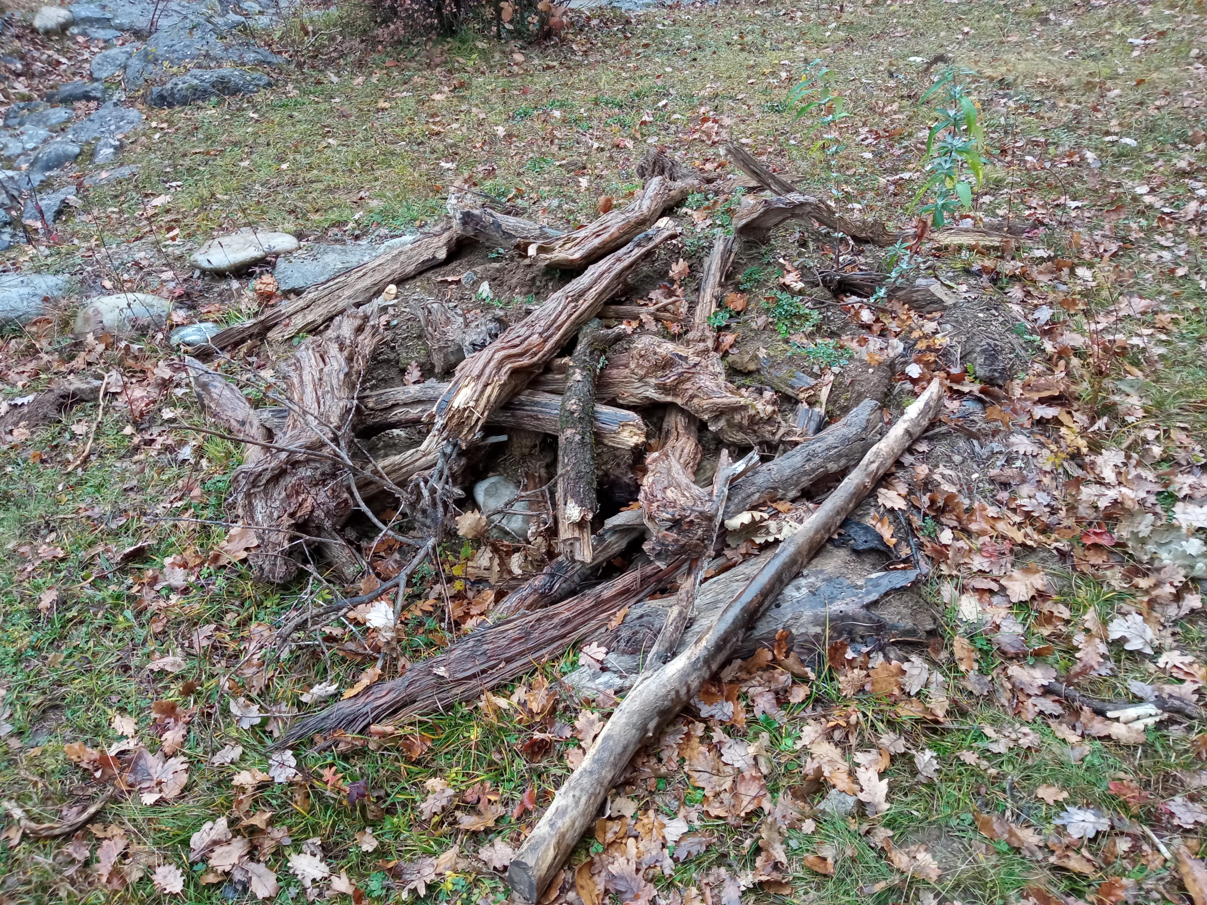 Parc Borel installation bois