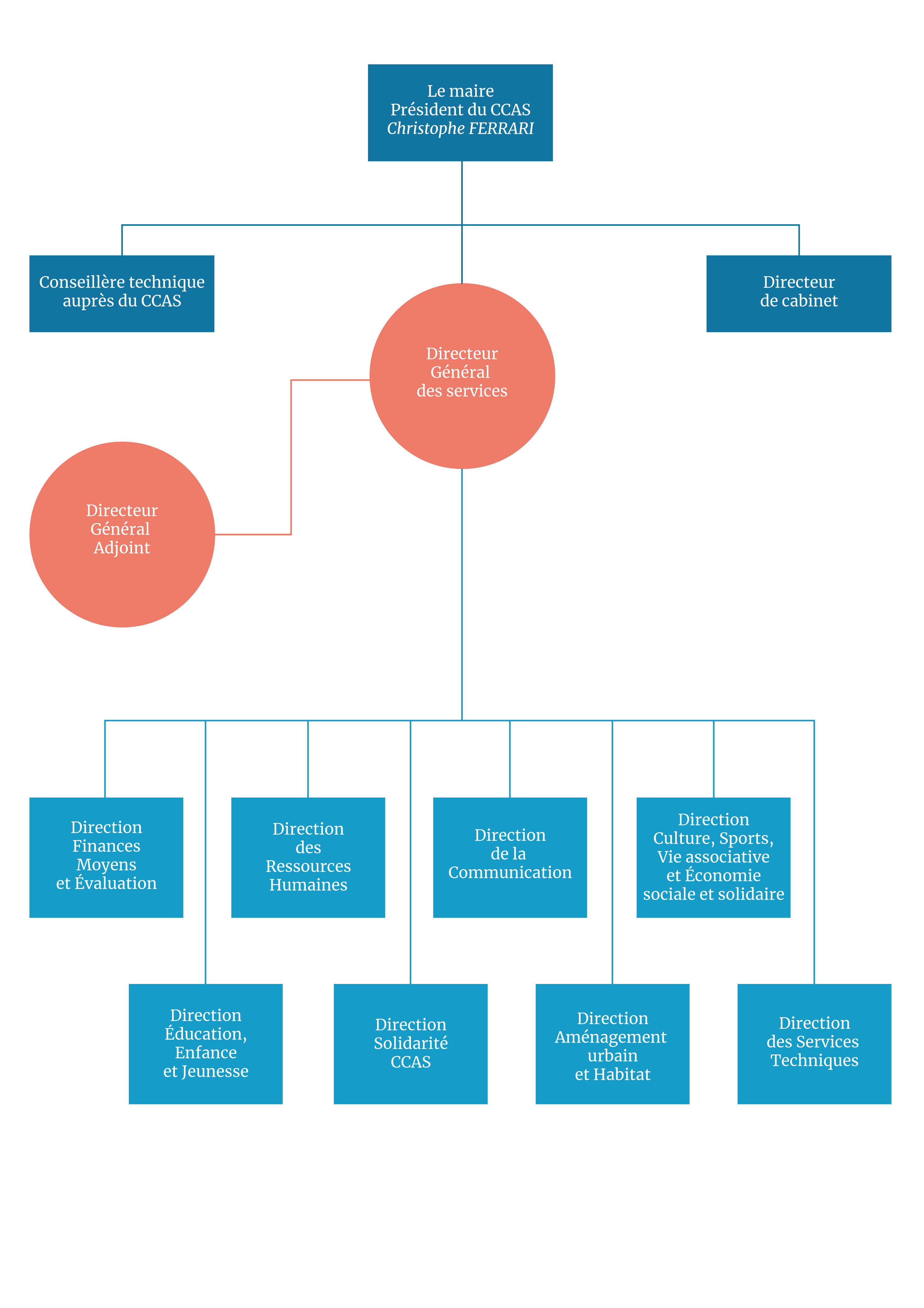 Schéma organisationnel Ville