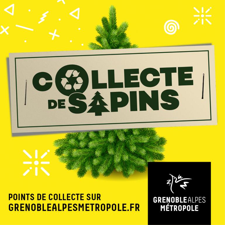 collecte sapins