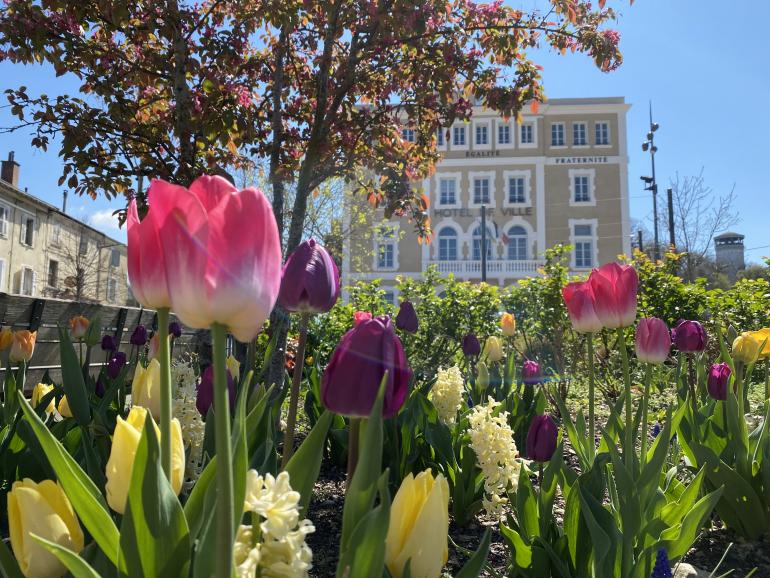 parterre de fleurs devant la mairie