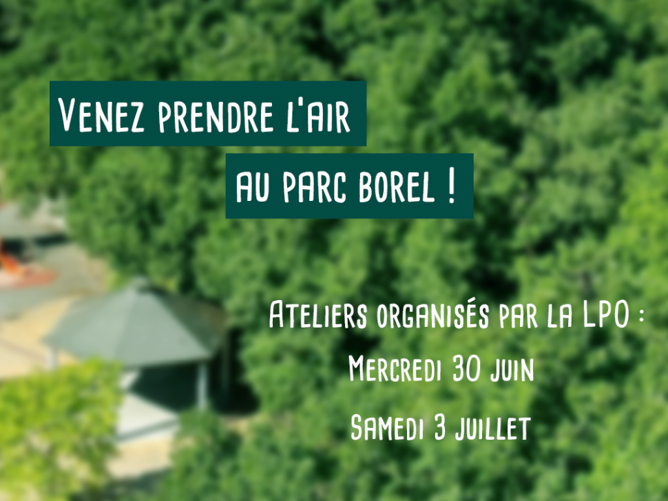 Ateliers au Parc Borel avec la LPO