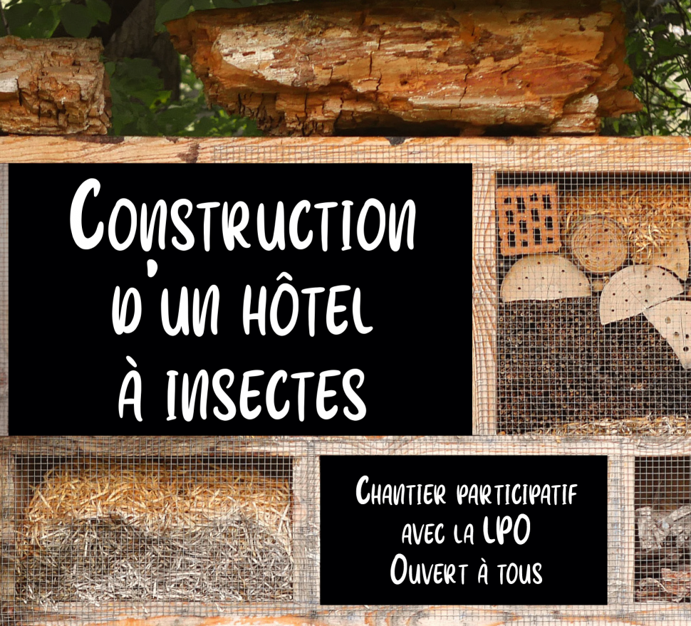 Création d'un hôtel à insectes