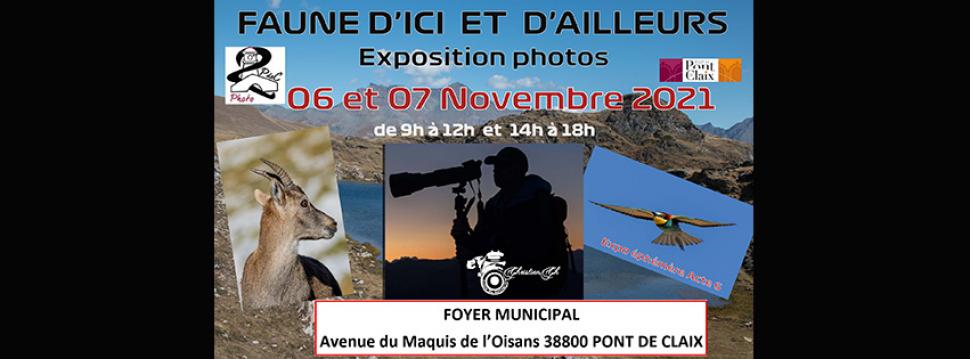 Exposition photo Faune d'ici et d'ailleurs par 2PdeC Photo