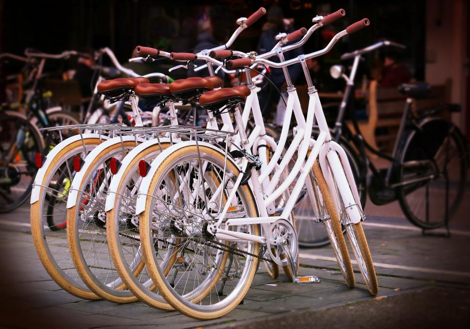 Apprendre et réapprendre à faire du vélo 
