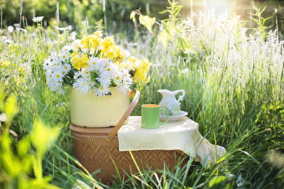 Goûter d'été des centres sociaux