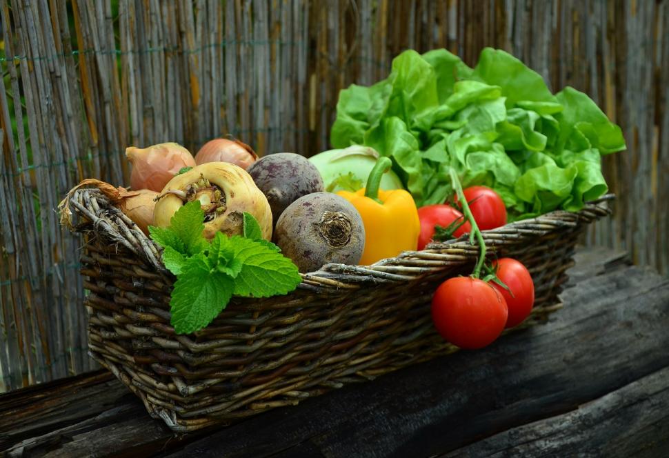 Goûter festif "Légumes en folie"