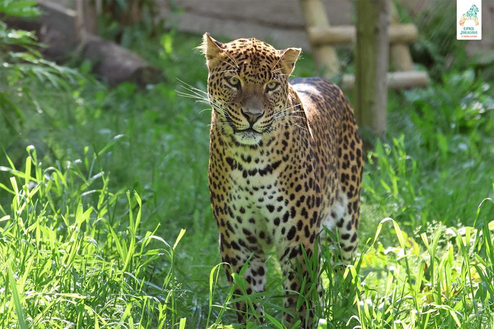 Sortie Prenons l'air ensemble - Zoo de la Plaine