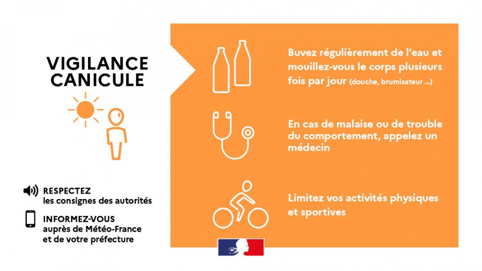Canicule : adoptez les bons réflexes !