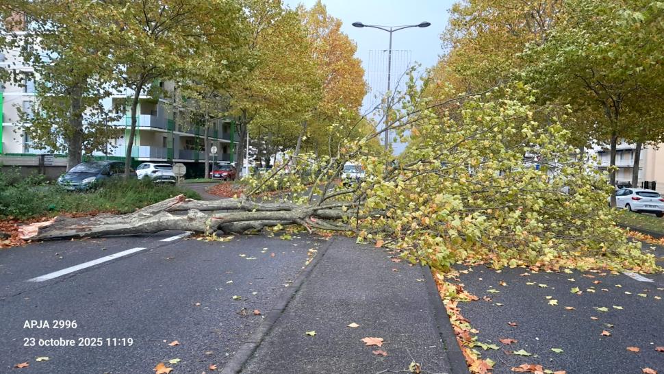 Intempéries du 23 octobre