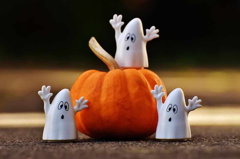 Des activités pour tous les âges aux vacances d'octobre !