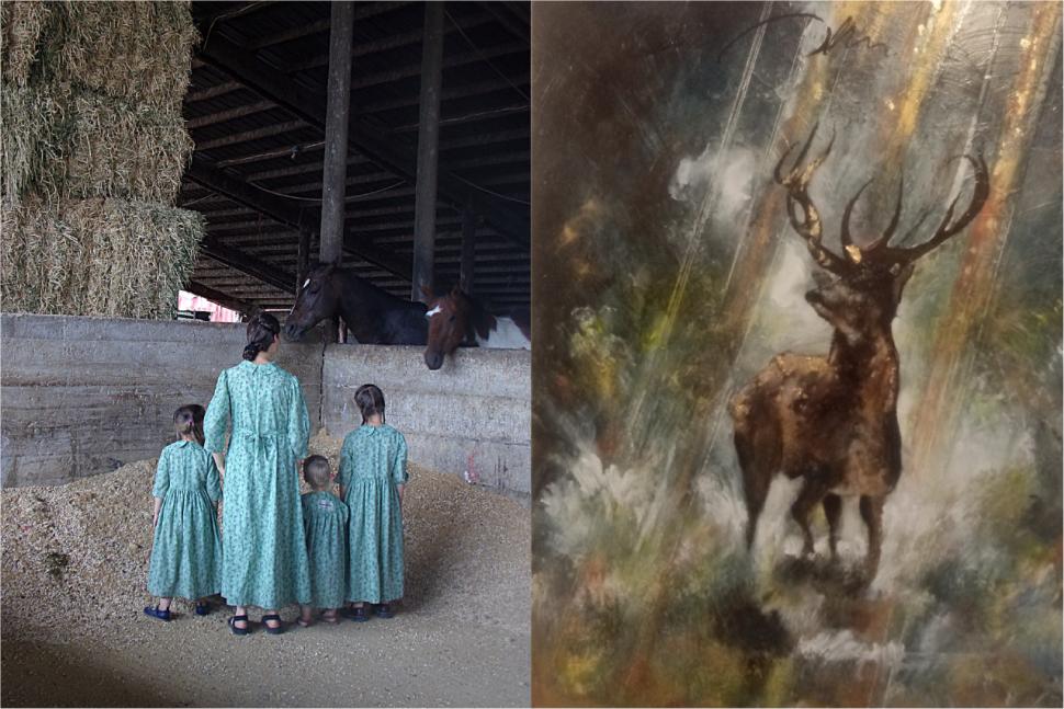 Anima'ls Mundi - Exposition de François-Marie Périer et Rodolphe Viragh