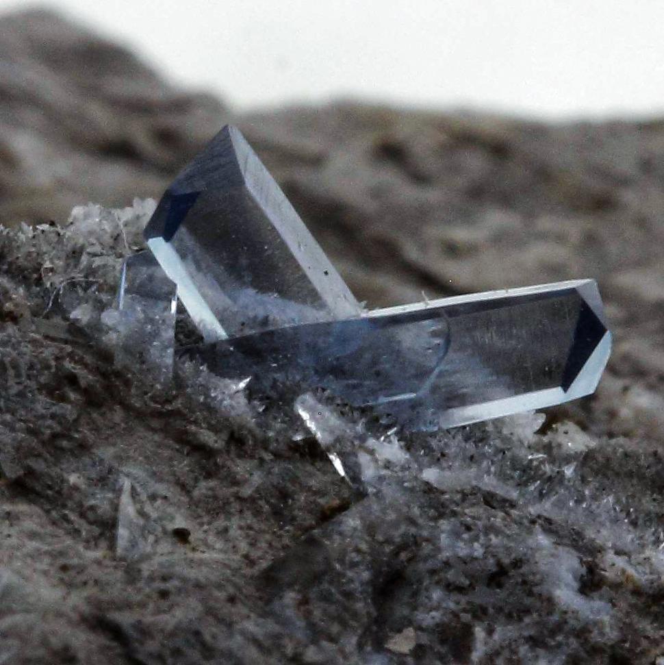 Bourse d'échanges minéraux et fossiles