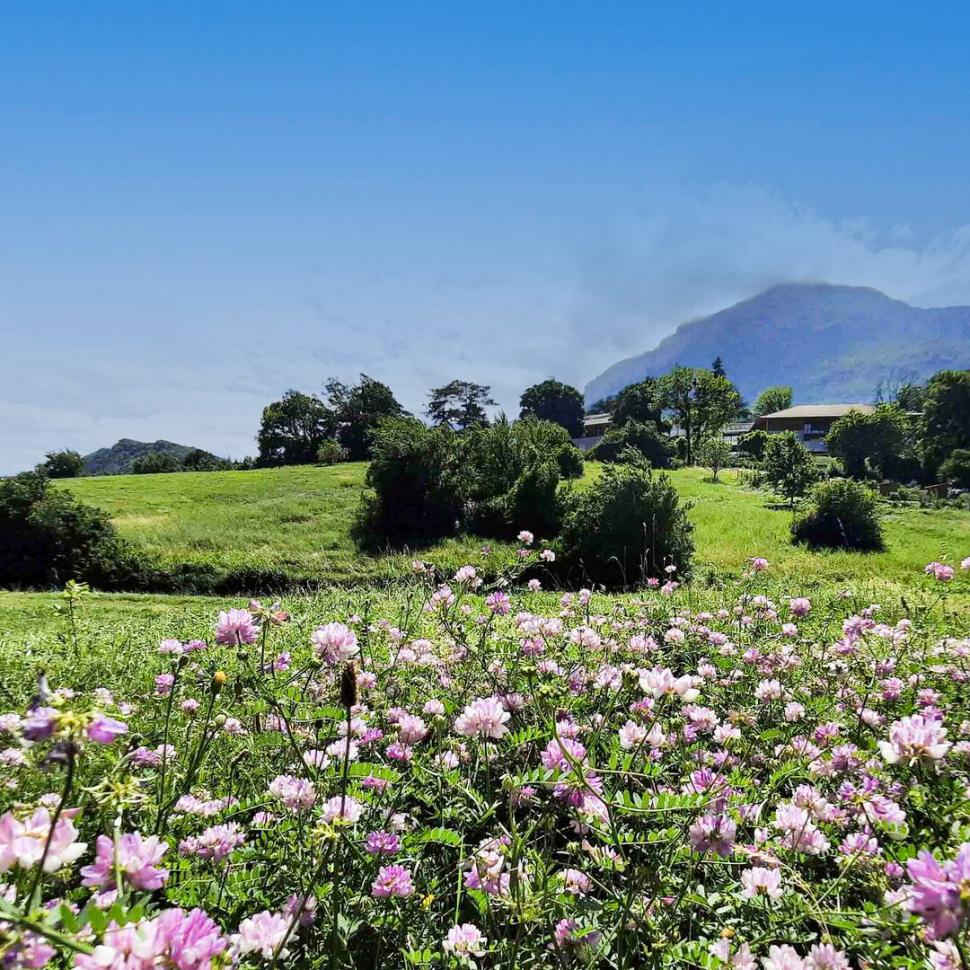 Sorties «Prenons l’air ensemble» - Découverte des Franges Vertes de Seyssins